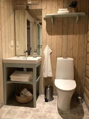 a bathroom with a white toilet and a sink at Drolsum Gård in Vikersund