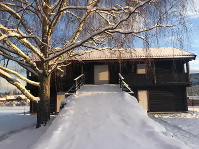 a snow covered walkway leading to a cabin with a tree at Drolsum Gård in Vikersund