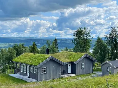 a house with a grass roof on top of a field at Bergestua - 4 bedroom cabin in Gol