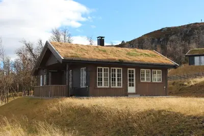 a house with a grass roof on a hill at Bergestua - 4 bedroom cabin in Gol