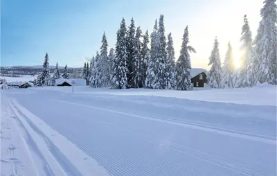 a snow covered road with trees and a barn at Fjellstua C3, Leil 202 in Sjusjøen