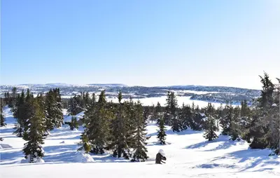 a group of trees in the snow on a mountain at 3 Bedroom Stunning Home In Sjusjøen in Sjusjøen