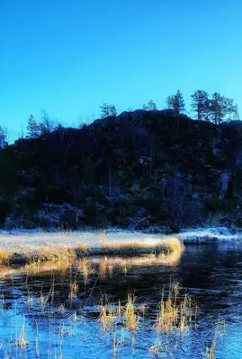 a log laying in the water in a field at Waerholmen in Lavik