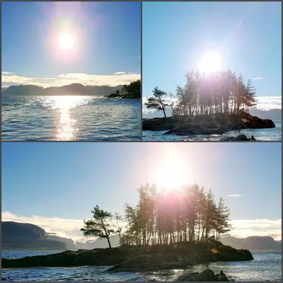 four different views of a tree on a island in the water at Waerholmen in Lavik