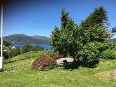 a tree on a hill with a view of the water at Landlig idyll med fjordutsikt in Valsøybotn