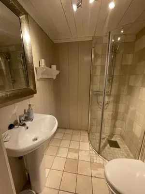 a bathroom with a shower and a sink and a toilet at Eggedal Borgerstue in Eggedal