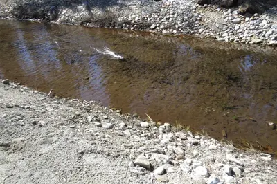 a small pool of water on the side of a dirt road at Camp Uvdal in Uvdal