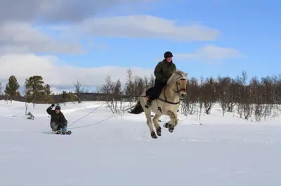 a man riding a horse in the snow with a snowboard at Langedrag Naturpark in Tunhovd