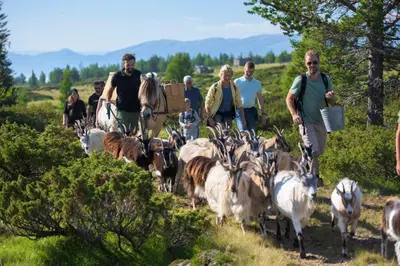 a group of people walking with goats on a trail at Langedrag Naturpark in Tunhovd