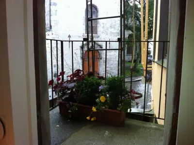 a window with a pot of flowers and a fire hydrant at Central location in the heart of historic Bergen in Bergen