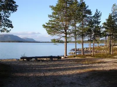 a picnic table next to a lake with trees at Vestre Sorken Feriegard in Drevsjø
