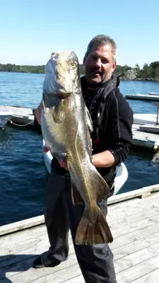a man holding a large fish on a dock at Lille Villa Severin in Mosterhamn