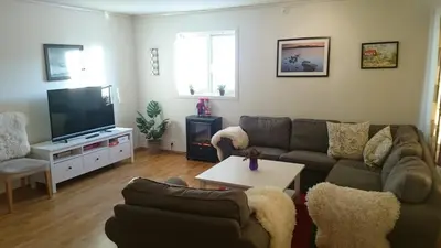 a living room with a couch and a tv at Røldal in Røldal