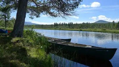 a boat sitting on the water next to a tree at Romenstad Hytter in Rendalen