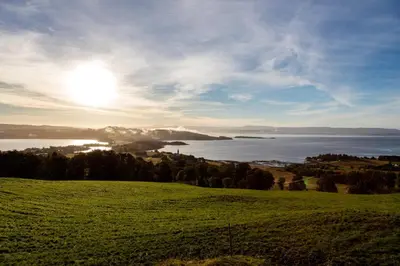 a green field with a view of a body of water at Husfrua Gårdshotell in Straumen
