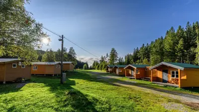 a row of cottages in a field with trees at Korsbakken Camping in Isfjorden