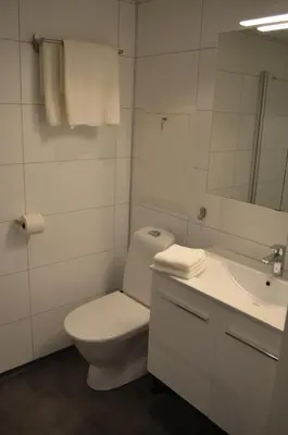 a white bathroom with a toilet and a sink at Einemo Apartments in Lærdalsøyri