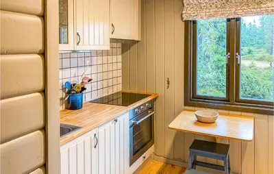 a small kitchen with a sink and a stove at 3 Bedroom Amazing Home In Sjusjøen in Sjusjøen
