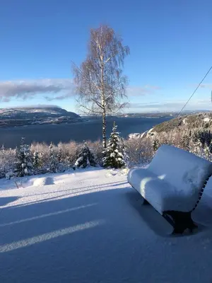 a bench covered in snow with a tree in the background at Villa Fjara sleeps 22 in 6 bedrooms in Ulven