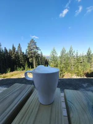 a white coffee cup sitting on a wooden table at Lillebjørn in Trysil