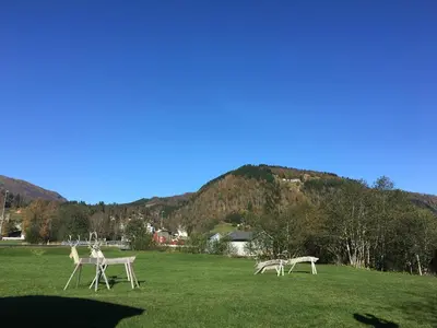 two animals are walking around in a field at Voss- Oppheim suite private cozy cabin in Vossestrand