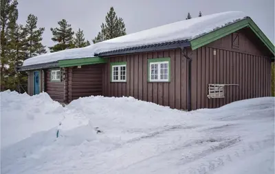 a house covered in snow with a pile of snow at Nice Home In Gol With Kitchen in Gol