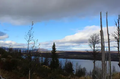 a view of a body of water with trees at Torshaug 4 bedroom cabin in Gol