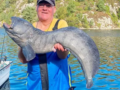 a man holding a large fish in the water at Seaside Fisherman s Haven-By Traum in Steinsbø