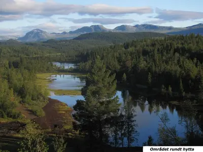 an aerial view of a lake with trees and mountains at Linnaeus - 6 person cabin in Ål
