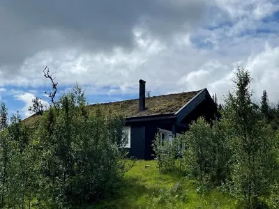 a house sitting on top of a green field at Linnaeus - 6 person cabin in Ål
