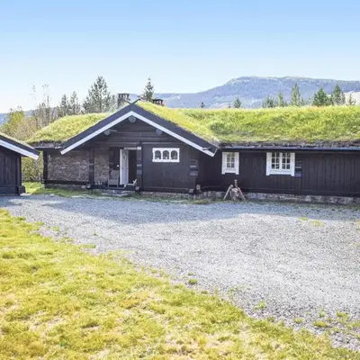 Cozy Home In Hemsedal With Kitchen