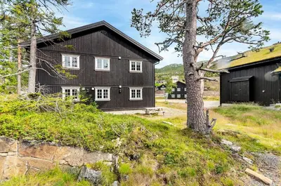 a black house with white windows and a tree at Gaustatoppen Apartment in Rjukan