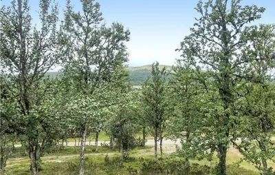 a group of trees in the middle of a field at 3 Bedroom Nice Home In Venabygd in Venabygd