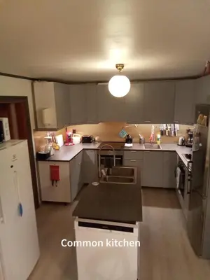 a kitchen with a sink and a refrigerator at Eikre Fjellgård in Hemsedal