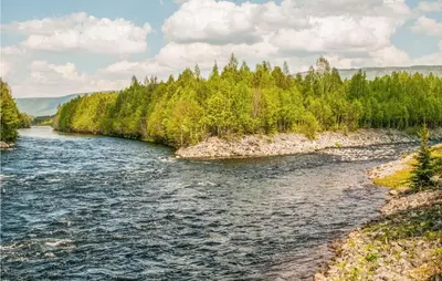 a river in the middle of a forest at Lovely Home In Rendalen With Wifi in Rendalen