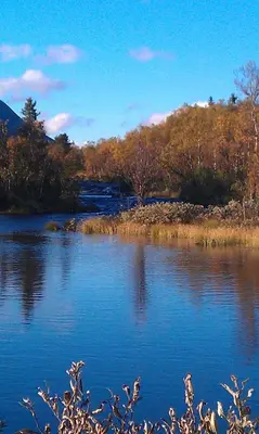a body of water with trees in the background at Valdres Naturlegvis in Fagernes