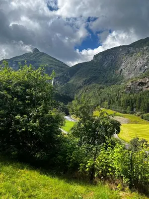 a view of a valley with mountains and trees at Gjørven Hytter in Flåm