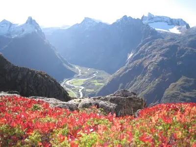 a view of a mountain valley with red flowers at Trollveggen Camping in Åndalsnes