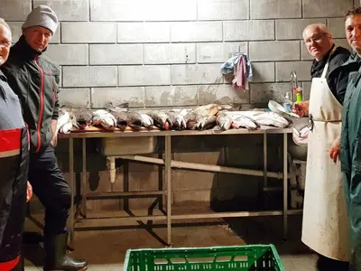 a group of men standing next to a table with chickens at 10 person holiday home in Brattvåg in Brattvåg