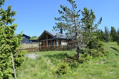 a house in the middle of a field with trees at Skeikampen Booking in Svingvoll