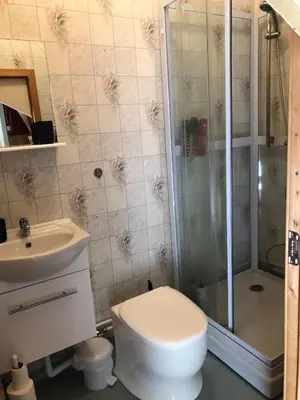a bathroom with a shower and a toilet and a sink at Vasstun Panorama in Odda