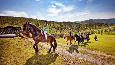 a group of people riding horses in a field at Savalen Fjellhotell & Spa in Tynset