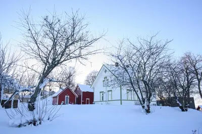 a snow covered yard with a house and trees at Strømnes - Oldefars gjestehus Inderøy in Straumen