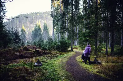 a person walking down a path in a forest at Falstadsenteret - Museum, minnested og senter for menneskerettigheter in Levanger