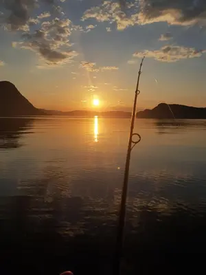 a pole in the water with the sunset in the background at FUGELVÅGEN, cabins and glamping in Ålvundfjord