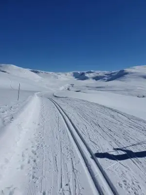 a snow covered road with tracks in the snow at Olden Panorama Apartments - Fjord view - High Standard in Olden