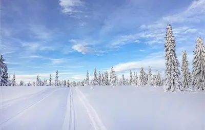 a snow covered field with snow covered trees and a road at Stunning Home In Sjusjøen With Sauna in Sjusjøen
