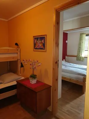 a bedroom with two bunk beds and a potted plant at Kvamsdal Pensjonat in Eidfjord