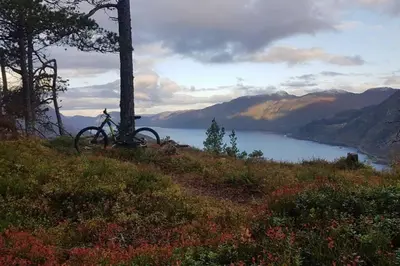 a bike parked on a hill with a view of a lake at Nordfjordcabins RED in Utvik