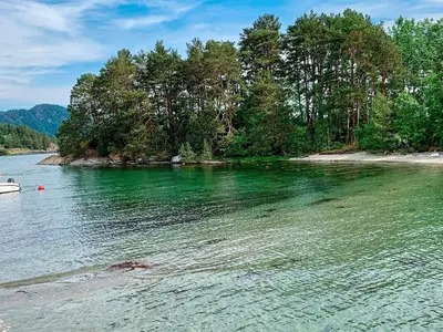 a body of water with trees and a boat in it at Seaside Serenity in Hardangerfjord-By Traum in Tyrvikbygd